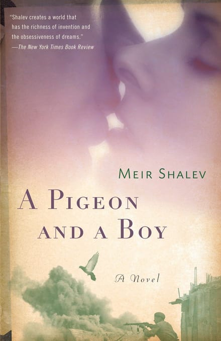 Pigeon And A Boy - Meir Shalev