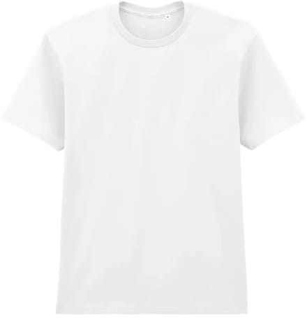 T-shirt Gildan Softstyle No Label Enzyme Wash