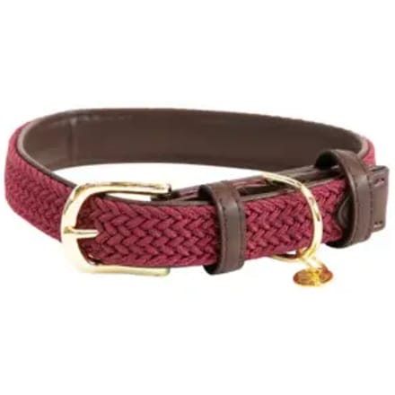 Gevlochten nylon hondenhalsband Kentucky