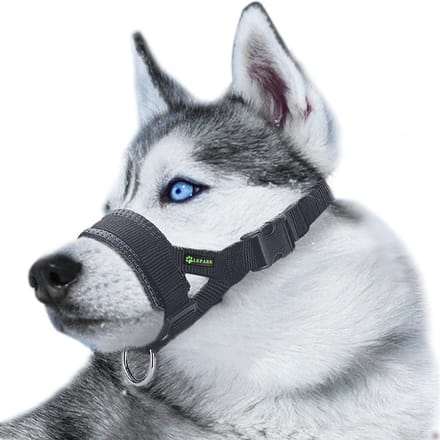Muilkorf voor honden M