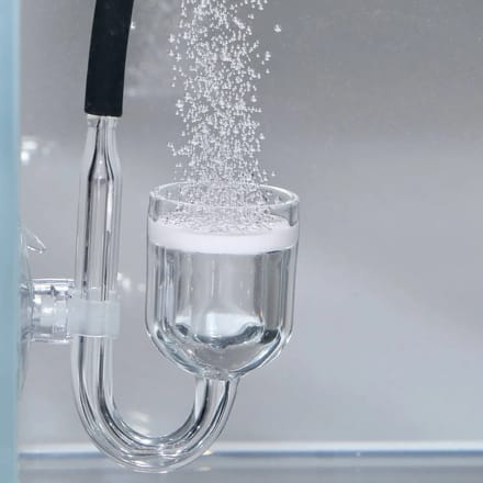 Aquariumwaterreiniger JBL Proflora Co2 Taifun Midi
