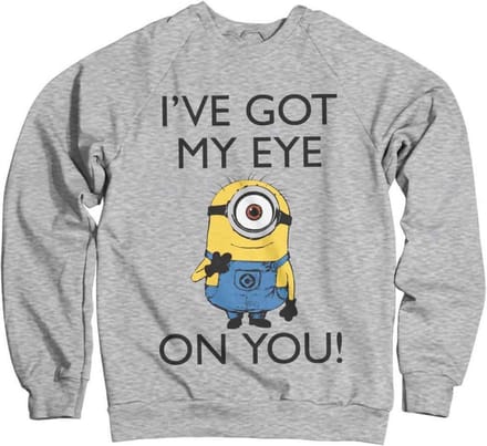 Minions Sweater/trui -S- I Got My Eye On You Grijs