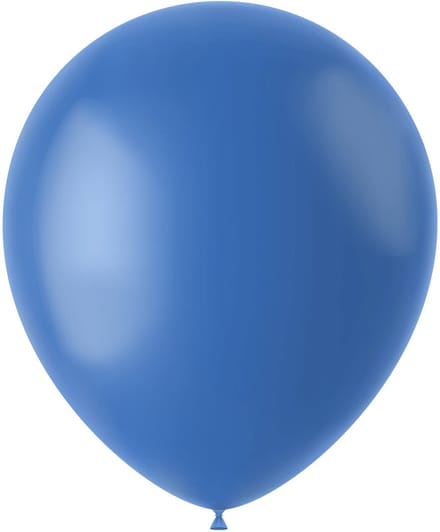 Ballonnen Dutch Blue Mat 33cm - 10 stuks