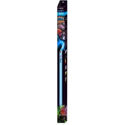 Buis Aquavie Lumivie SM T5 24w