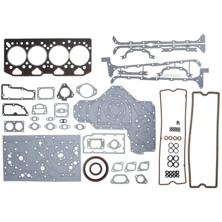 Complete set motorpakkingen REINZ 01-45880-01