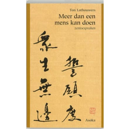 Meer Dan Een Mens Kan Doen - T. Lathouwers