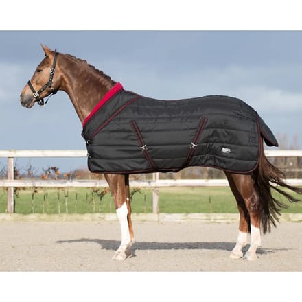 QHP Staldeken luxe Collection 200gr - maat 165/215 - black
