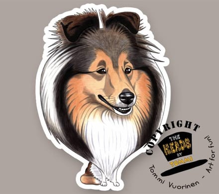 Magneet Hond Shetland Sheepdog