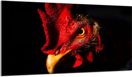 TMK ArtDeko - Snijplank - Hartglas - 90x52 cm - Kogut