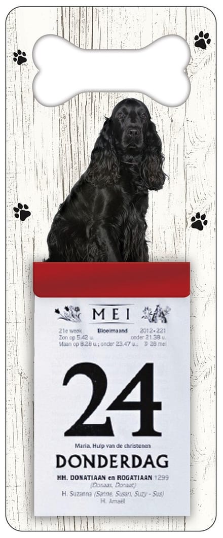 Scheurkalender 2024 Hond: Engelse Cockerspaniël
