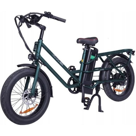Vélo électrique - GOGOBEST - GF200 - 500W - 80KM - 48V 15.6Ah - 20 pouces vert