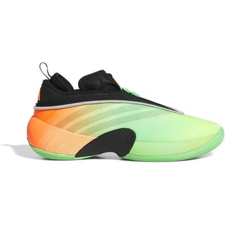 Basketbalschoenen adidas D.O.N. Issue 7