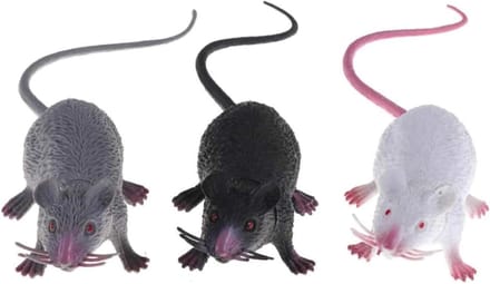 Nep Muis Set - Nep Ratten - Grappen Uithalen - Realistisch Ontwerp - 4 x 20 cm - Meerkleurig