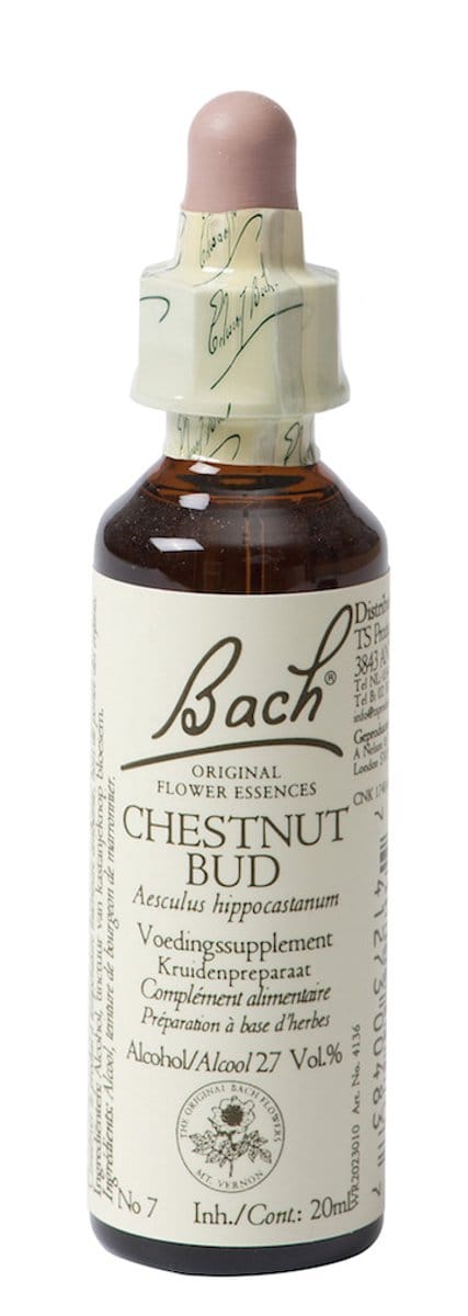 Bach Chestnut Bud Kastanjeknop - 20 ml - Voedingssupplement