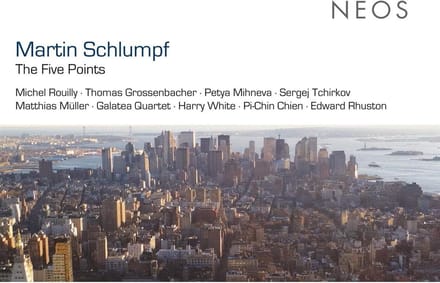 Michel Rouilly, Thomas Grossenbacher, Petya Mihneva - Schlumpf: The Five Points (CD)