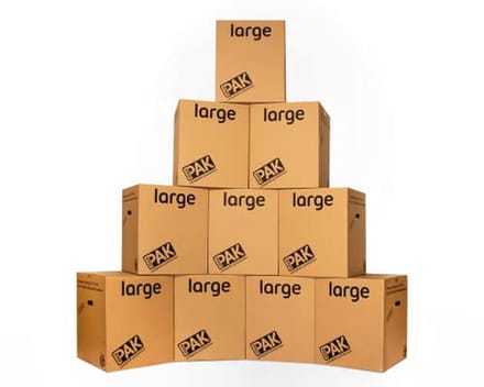 Grote Opbergdozen met Handgrepen - 116 Liter - 10 Stuks - 55x46x46cm