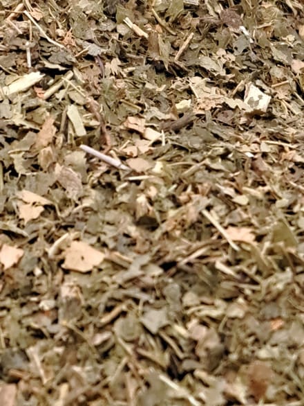 Toverhazelaar thee 65g (Hamamelis Virginiana)