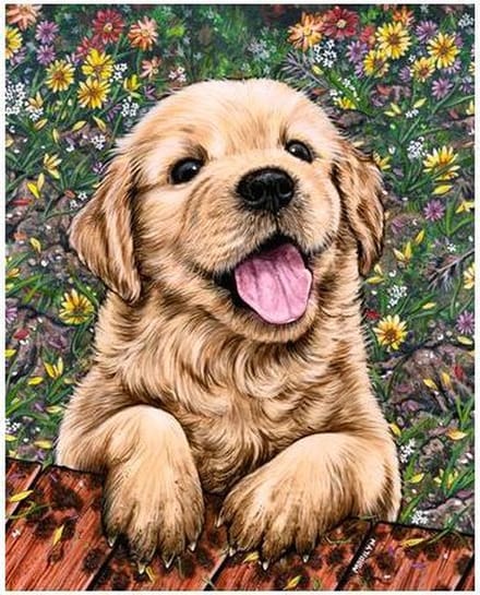 Wizardi diamond painting – Golden retriever pup – 40 x 50 cm