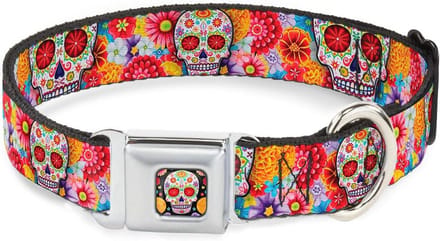 Kleurige Suiker Skulls Halsband voor Honden 9-15 inch
