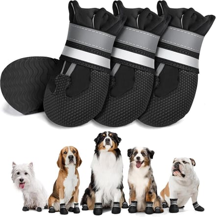 Schoenen Paw Protector S