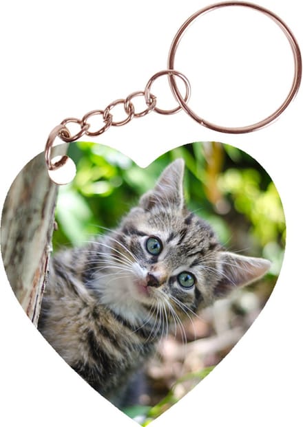 Sleutelhanger hartje 5x5cm - Kitten in Tuin