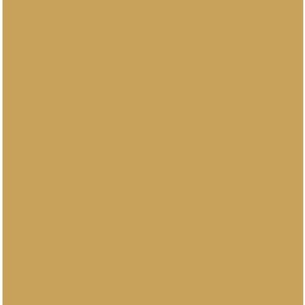 Conrad Schnitzler - Gold (CD)