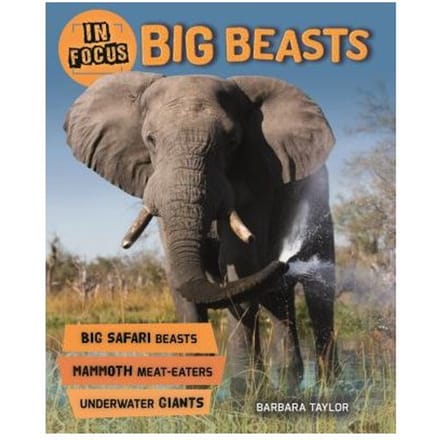 In Focus Big Beasts - BARBARA TAYLOR