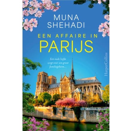 Een Affaire In Parijs - De Verloren Schatten - Muna Shehadi