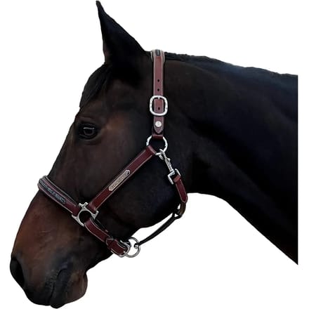 Halster voor paarden Flags&Cup Aachen