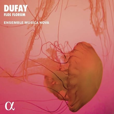 Ensemble Musica Nova - Dufay: Flos Florum: Motets, Hymns, Antiphons (CD)