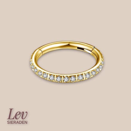 Lev Sieraden - Titanium click ring piercing 1.2x7mm - Zirkonia - Goud - Piercing - neuspiercing - tragus piercing - Oorpiercing - Segment ring tepel navel