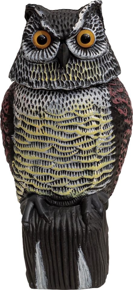 St. Helens Home & Garden vogelverschrikker - levensgrote uil met roterende kop