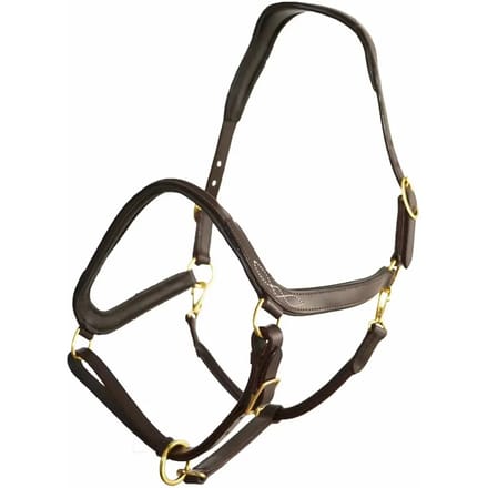 Halster voor paarden Hekktor Anubis