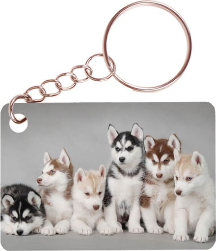 Sleutelhanger 6x4cm - Husky Pups op Rij