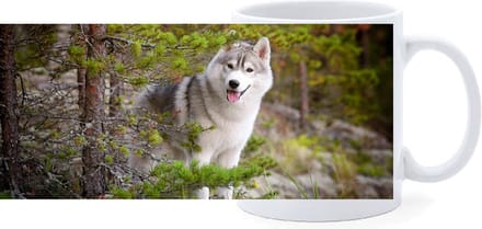 Beker - Husky in Bos