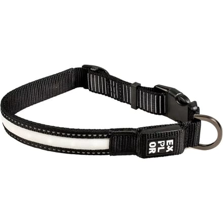 Duvo+ EXPLOR City Paris Halsband Led Nylon M - 34-45cm/25mm