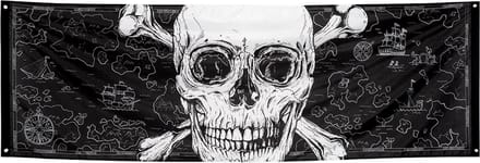 Banner Piratenfeest  Pirate Party.
