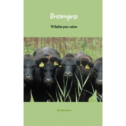 Dreamgirls - Jan Siemonsma