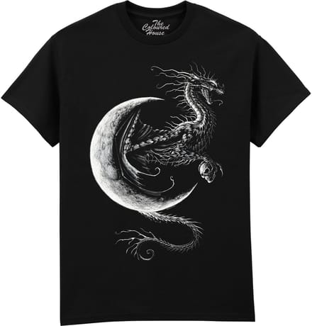 Draak Wing Dragon The Coloured House T-shirt M