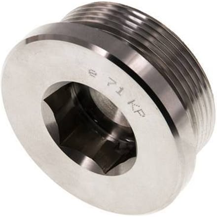 Plug M48 X 2 RVS FKM met binnenzeskant 250 bar (3512.5psi)