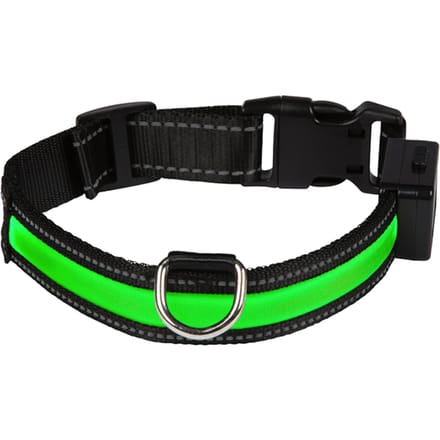 - L: 50 - 65 cm halsomvang, B 25 mm - Eyenimal LED-Lichthalsband