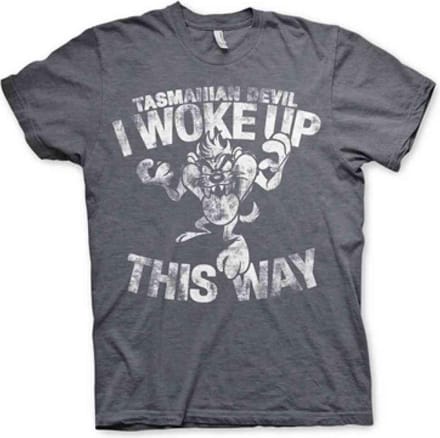 Looney Tunes Heren Tshirt -M- Tasmanian Devil - I Woke Up This Way Grijs