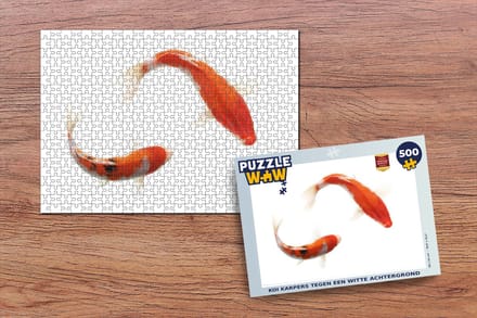 Puzzel Koi karpers tegen een witte achtergrond - Legpuzzel - Puzzel 500 stukjes