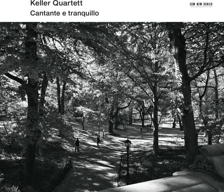 Keller Quartett - Cantante E Tranquillo (CD)