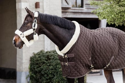 Showdeken bruin 130-6'0 160 gram