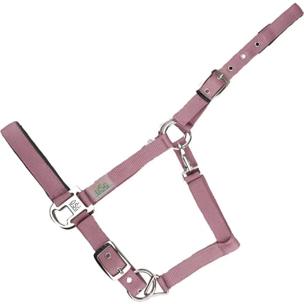 Halster voor paarden USG Everyday