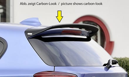 AC SCHNITZER - SPOILER - BMW F20 F21 1 SERIE - IN PRIMER