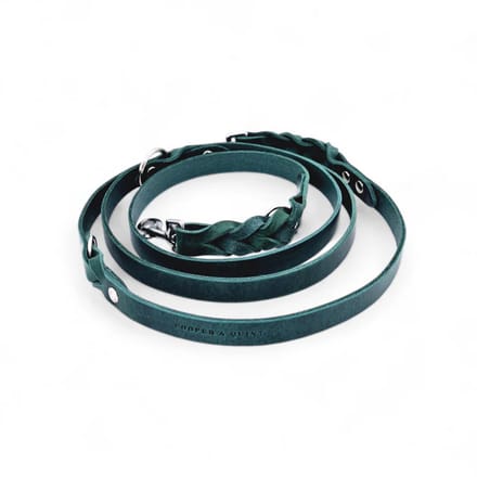 Cooper & Quint Twisted Switch Verstelbare Hondenriem - Groen - 2cm - Zilver
