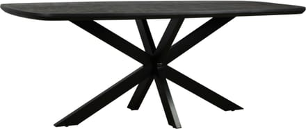 Eettafel Colorado Deens ovaal mangohout 280x110 cm - zwart