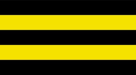 Vlag Schiedam 70x100cm